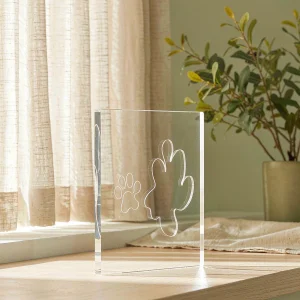 Clear acrylic pet memorial plaque with an engraved paw print standing on a sunlit oak windowsill